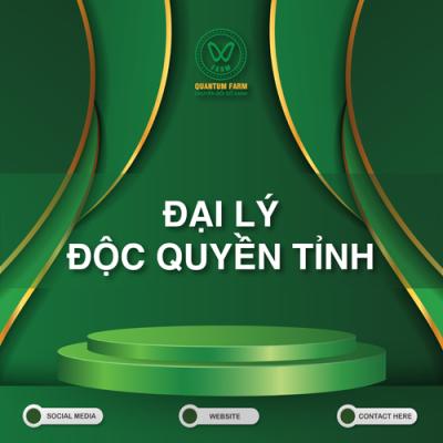 Đại lý độc quyền tỉnh