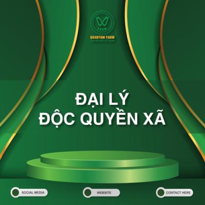 Đại lý độc quyền xã