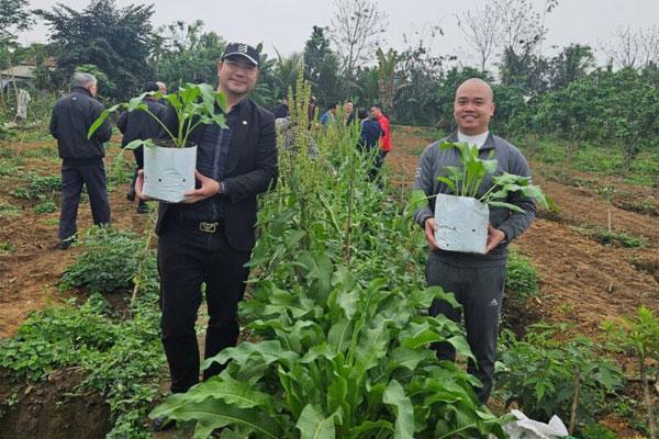 Cây “sâm nữ hoàng” và cơ hội thay đổi cơ cấu cây trồng trong nông nghiệp